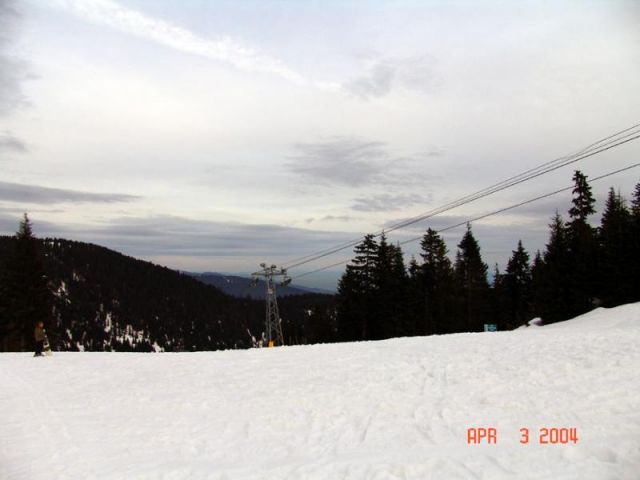 Blueberry Chair, Grouse Mountain, British Columbia