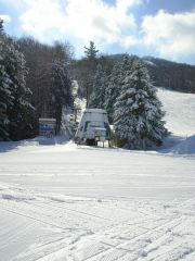 Duckling @ Sunapee, NH