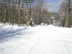 Duckling @ Sunapee, NH