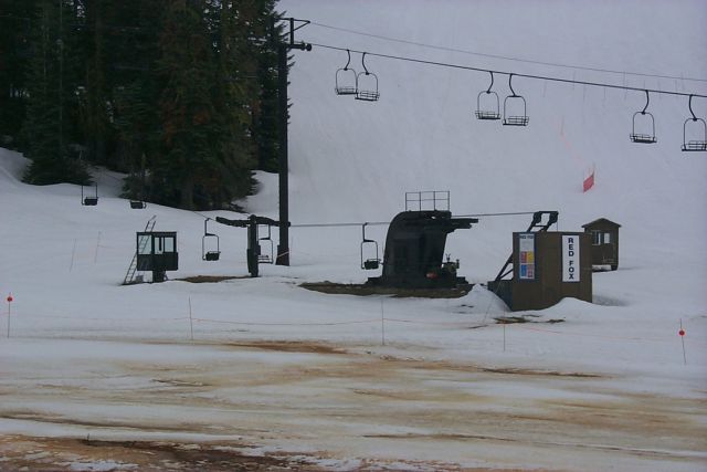 Red Fox, Badger Pass