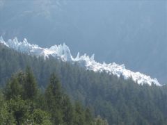 Glacier Coming down to the valley floor