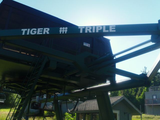 Tiger Triple Bottom Terminal