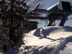 Sun Bowl Quad Top Station