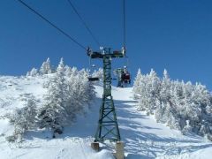 Big Spruce Double - Stowe, VT