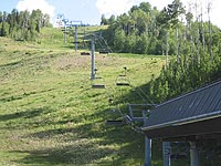 Coney Glade at Snowmass, CO