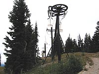 Yellow at Mt. Hood Meadows