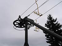 Yellow at Mt. Hood Meadows